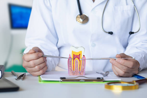 Best Pediatric Emergency Dentist in Elwood, KS